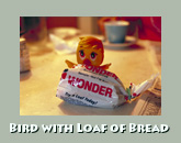 Bird with bread