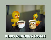 Birds drinking coffee