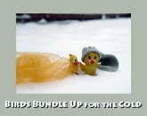 Birds with scarf and hat