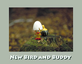 Buddy and new bird