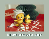 Birds receive a gift